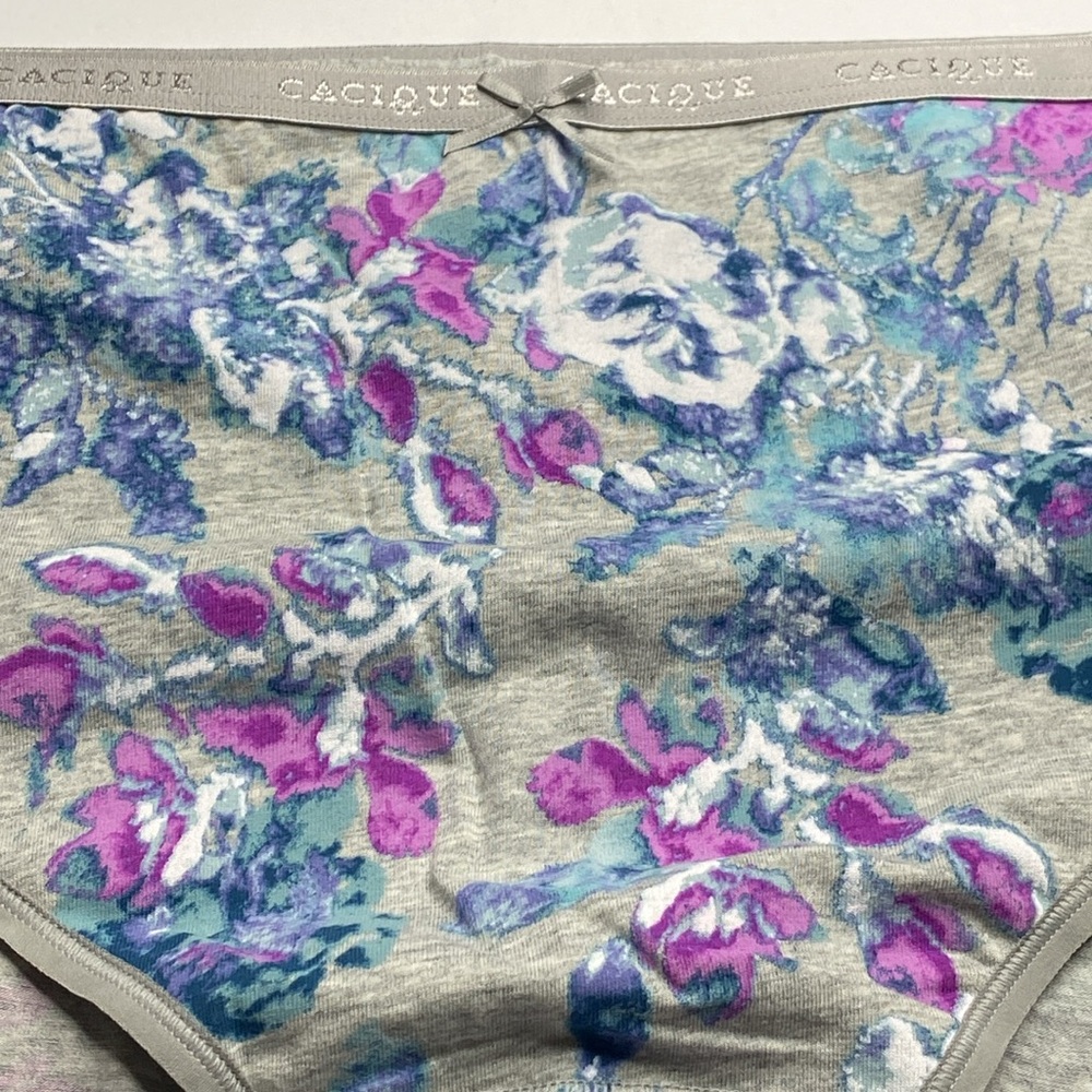 Gray purple floral stripe cotton high leg brief panty NWT Lane Bryant plus size - Picture 3 of 12